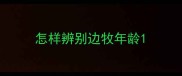 怎样辨别边牧年龄