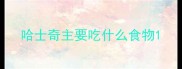 哈士奇主要吃什么食物
