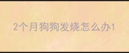 2个月狗狗发烧怎么办