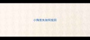 小狗丢失如何找回