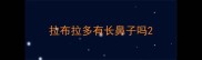 拉布拉多有长鼻子吗