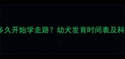 小狗出生后多久开始学走路幼犬发育时间表及科学养护指南