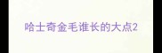 哈士奇金毛谁长的大点