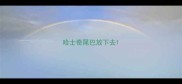 哈士奇尾巴放下去
