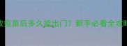 边牧疫苗后多久能出门新手必看全攻略