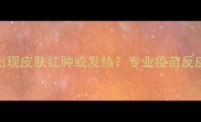 狗狗接种疫苗后出现皮肤红肿或发热专业疫苗反应及科学护理指南