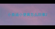 小泰迪小便黄怎么回事