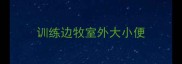 训练边牧室外大小便