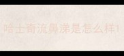 哈士奇流鼻涕是怎么样