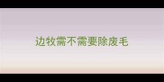 边牧需不需要除废毛