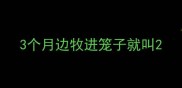 3个月边牧进笼子就叫