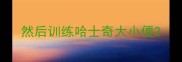 然后训练哈士奇大小便