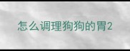 怎么调理狗狗的胃