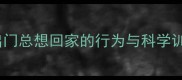 金毛犬出门总想回家的行为与科学训练指南