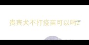 贵宾犬不打疫苗可以吗