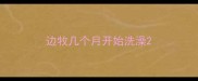边牧几个月开始洗澡
