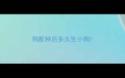 狗配种后多久生小狗