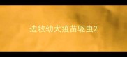 边牧幼犬疫苗驱虫
