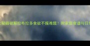 科学方法5大秘籍破解拉布拉多食欲不振难题附家庭食谱与日常护理指南