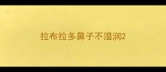 拉布拉多鼻子不湿润