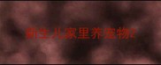 新生儿家里养宠物