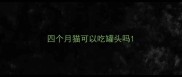 四个月猫可以吃罐头吗