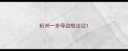 杭州一岁母边牧出让