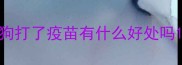 狗打了疫苗有什么好处吗