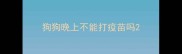 狗狗晚上不能打疫苗吗