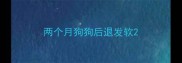 两个月狗狗后退发软