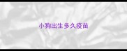 小狗出生多久疫苗