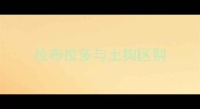 拉布拉多与土狗区别