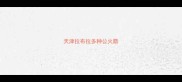 天津拉布拉多种公火箭