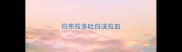 拉布拉多吐白沫拉血