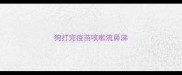 狗打完疫苗咳嗽流鼻涕