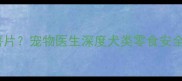 哈士奇能不能吃薯愿薯片宠物医生深度犬类零食安全隐患与科学喂养指南