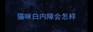 猫咪白内障会怎样