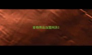 宠物用品加盟网店