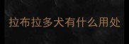 拉布拉多犬有什么用处