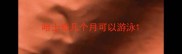 哈士奇几个月可以游泳