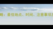 宠物打疫苗全攻略最佳地点时间注意事项及常见问题解答