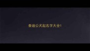泰迪公犬起名字大全