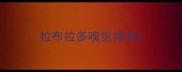 拉布拉多嗅觉排名
