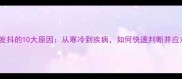 狗狗发抖的10大原因从寒冷到疾病如何快速判断并应对