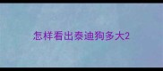 怎样看出泰迪狗多大