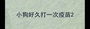 小狗好久打一次疫苗