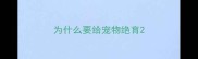 为什么要给宠物绝育