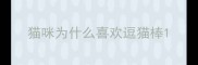 猫咪为什么喜欢逗猫棒