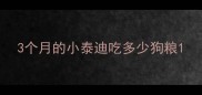 3个月的小泰迪吃多少狗粮