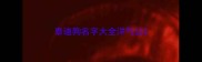 泰迪狗名字大全洋气公